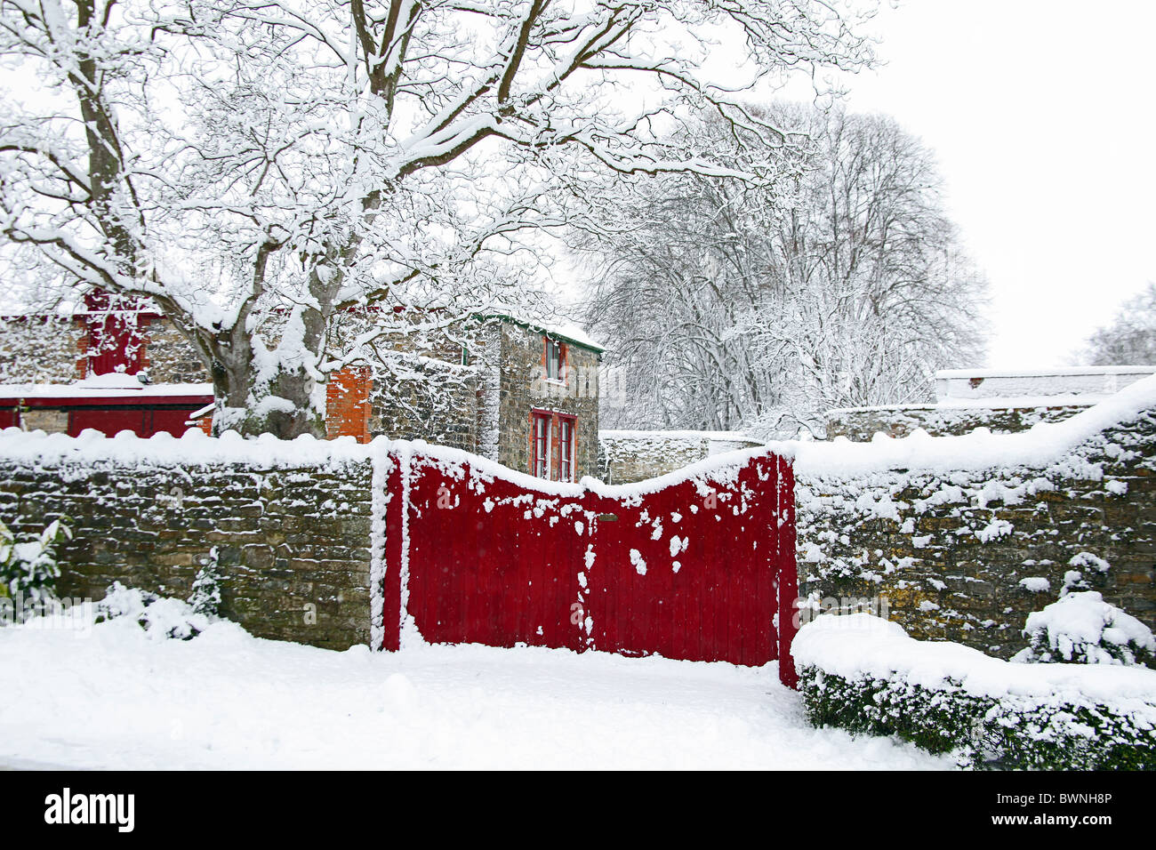 Rarement vu des couvertures de neige la nuit le village de Cossington sur le Hiulls Polden à Somerset, England, UK Banque D'Images