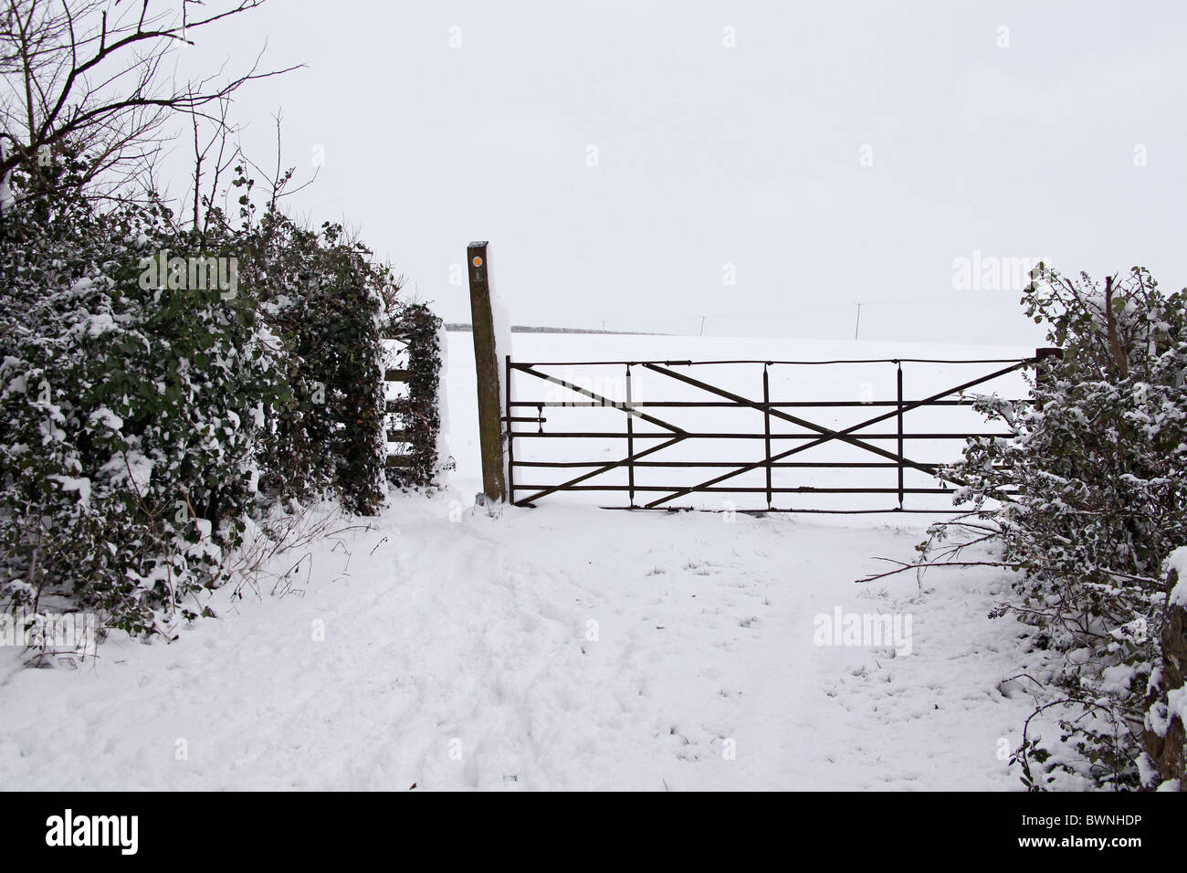 Rarement vu des couvertures de neige la nuit le village de Cossington Polden Hills dans le Somerset, England, UK Banque D'Images