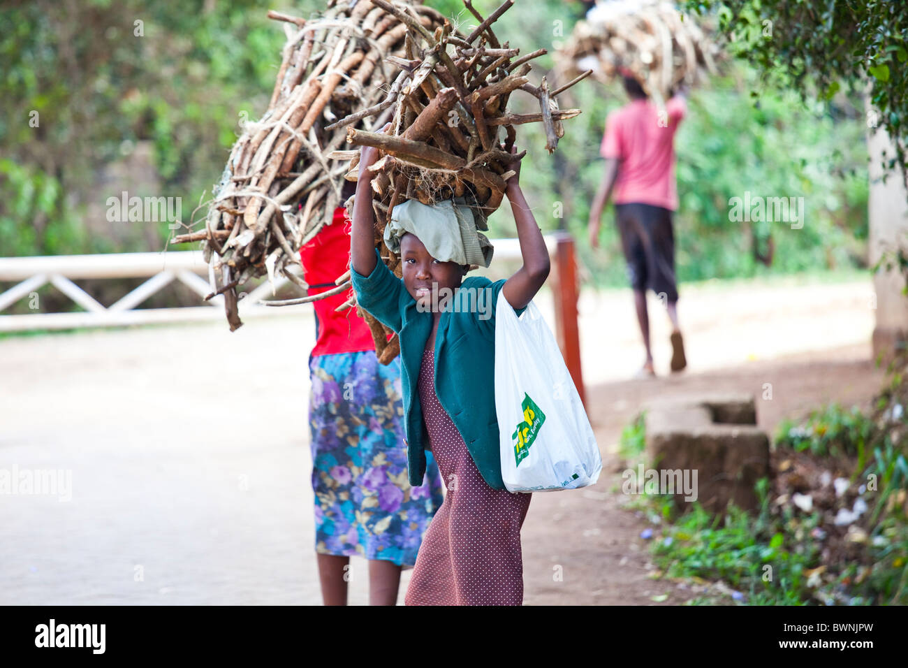 Les jeunes filles portant des paquets de bois à Nairobi, Kenya Banque D'Images