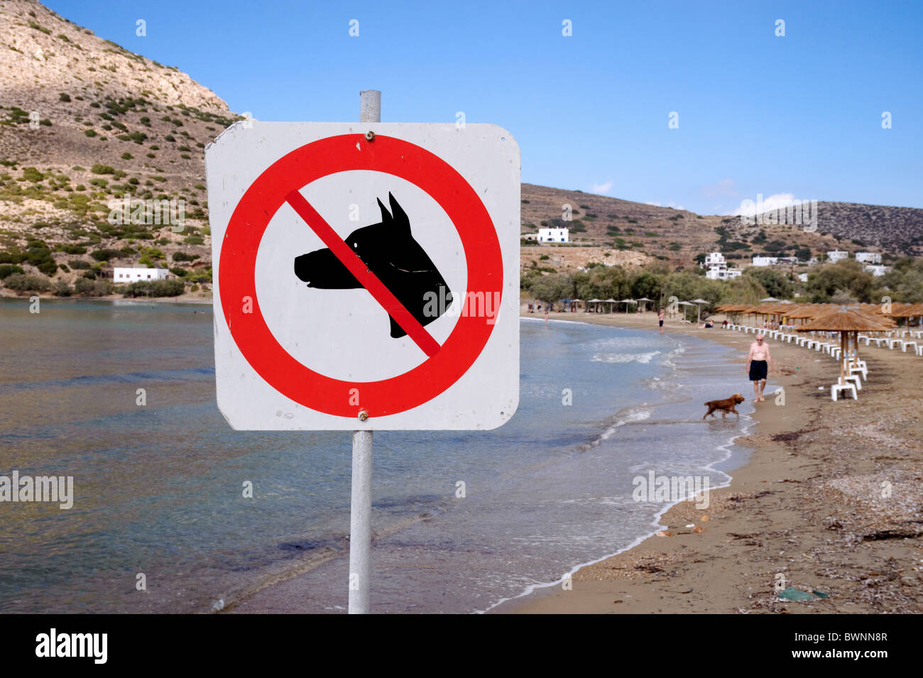 "Pas de chiens ' inscrivez-vous à la plage de Galissas, Cyclades Grèce île de Syros. Dans l'arrière-plan est un homme promenait son chien. Banque D'Images