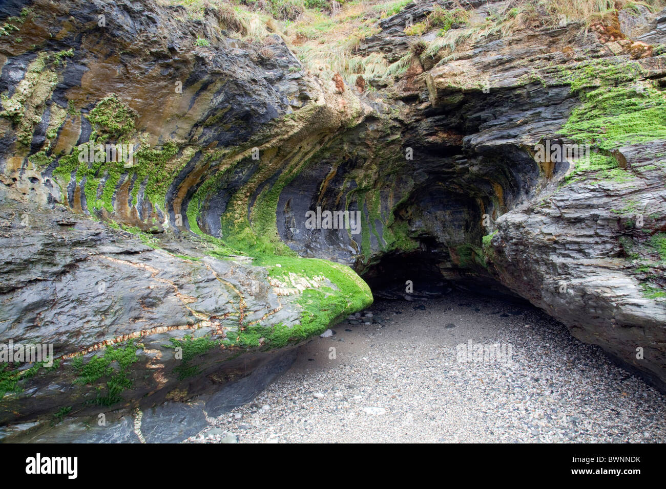 Les dépôts de tuf sur Mylor ardoise, Stackhouse Cove ; Cornwall Banque D'Images
