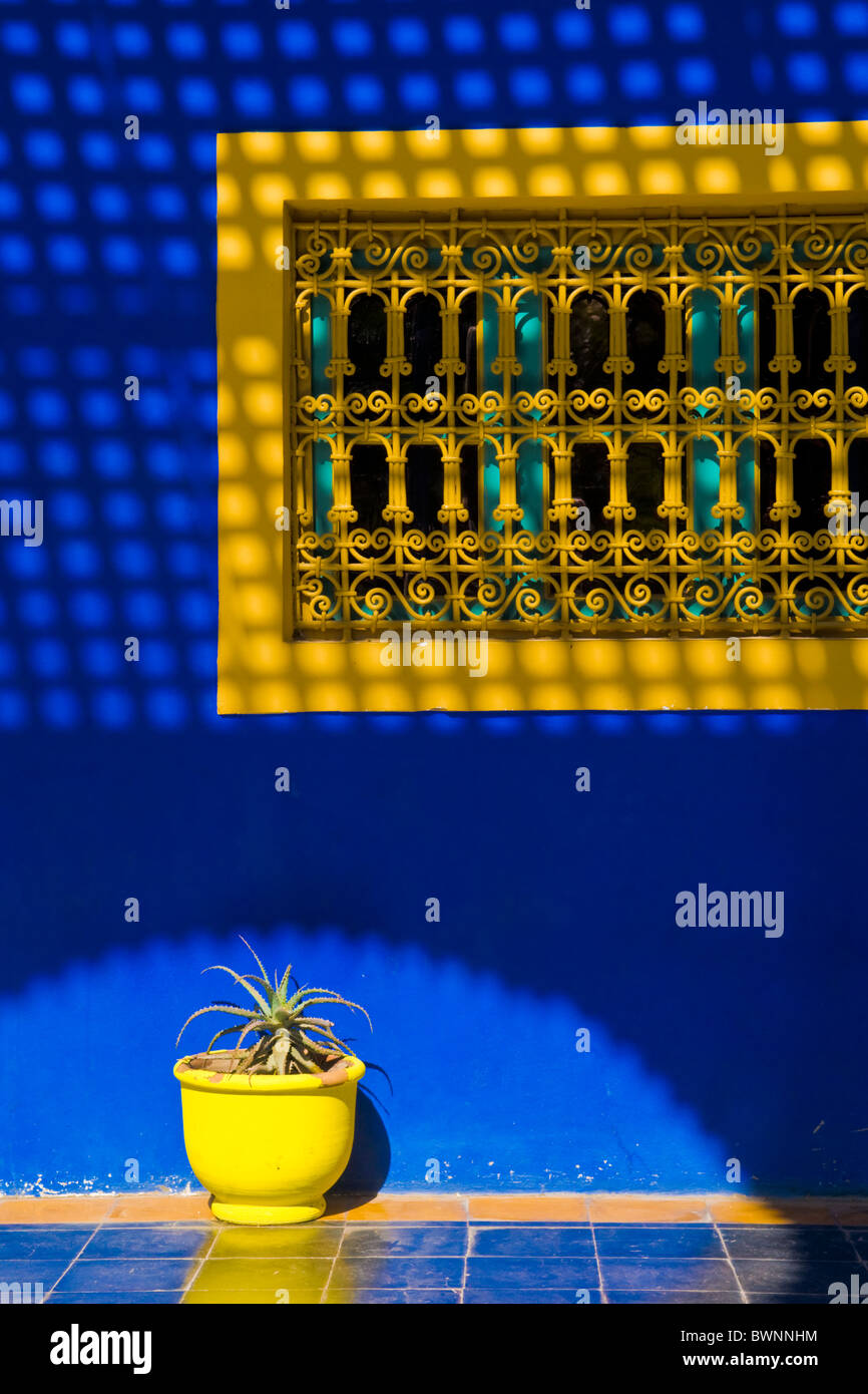 Bleu Majorelle Et Jaune