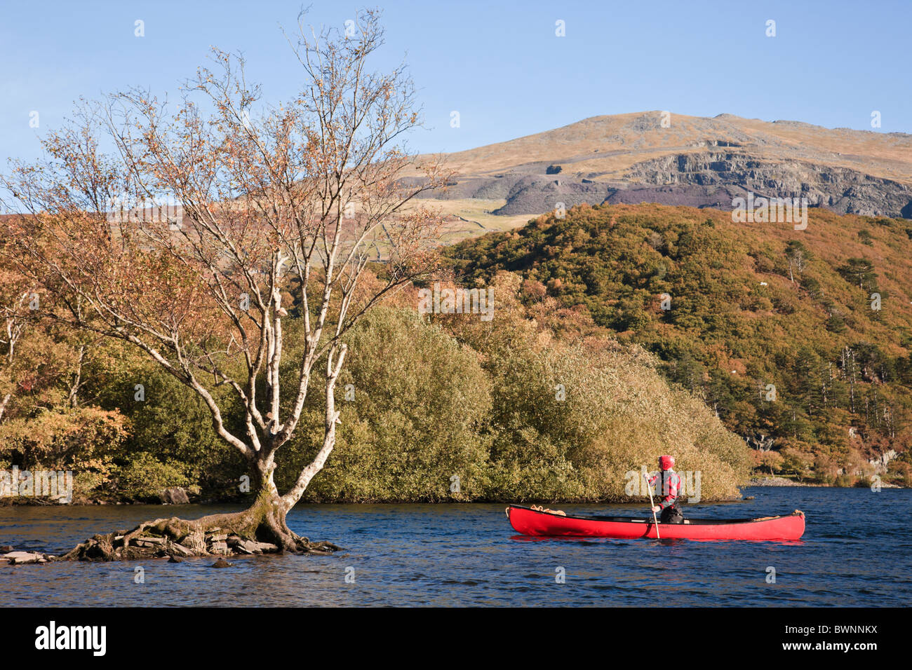 Llanberis, au nord du Pays de Galles, Royaume-Uni. Homme canoë dans un canot rouge sur Llyn Padarn Lake dans le parc national de Snowdonia en automne Banque D'Images