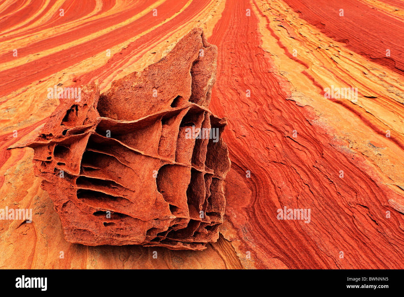 Dans les formations de roche 'bone yard' salon de Vermilion Cliffs National Monument, Arizona Banque D'Images