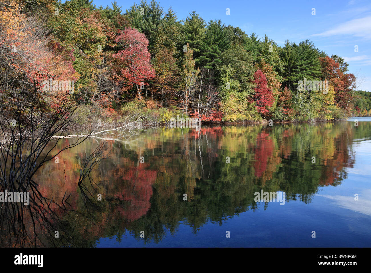 Couleurs d'automne et réflexions, Walden Pond, Concord, Massachusetts, USA Banque D'Images