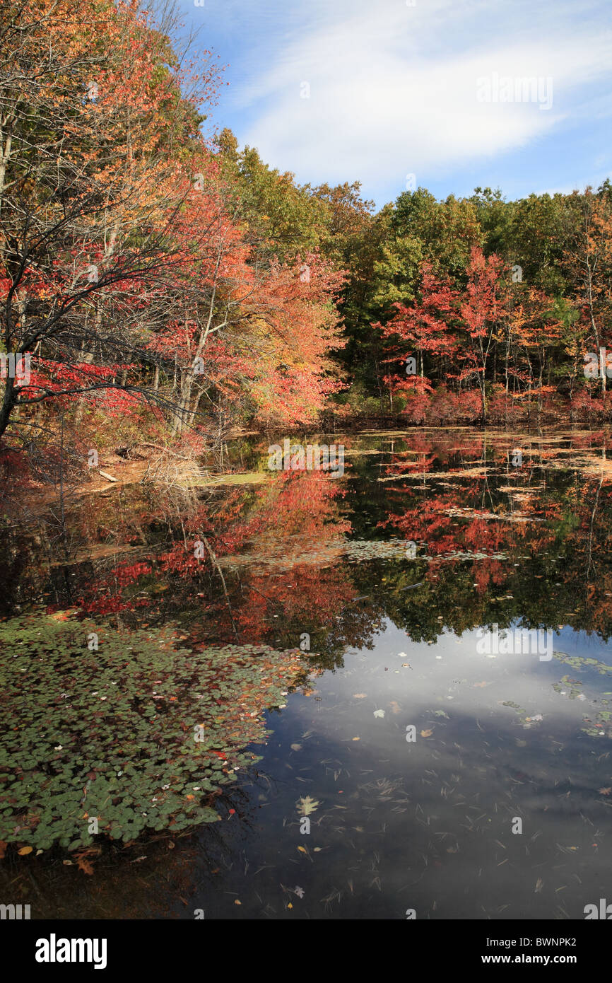 Couleurs d'automne et réflexions, Walden Pond, Concord, Massachusetts, USA Banque D'Images