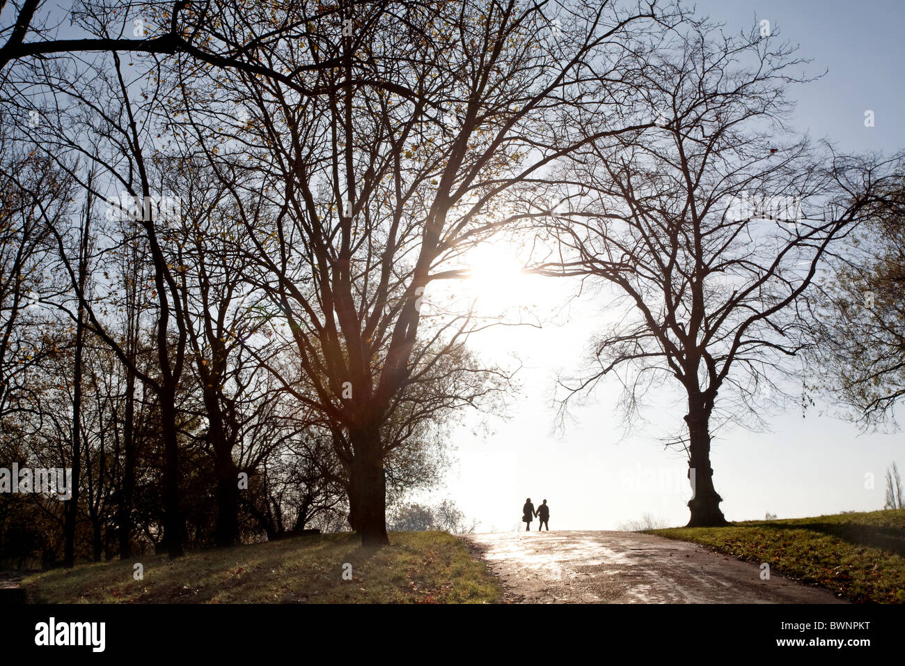 Hampstead Heath. Couple walking in soleil d'automne. London, England, UK Banque D'Images