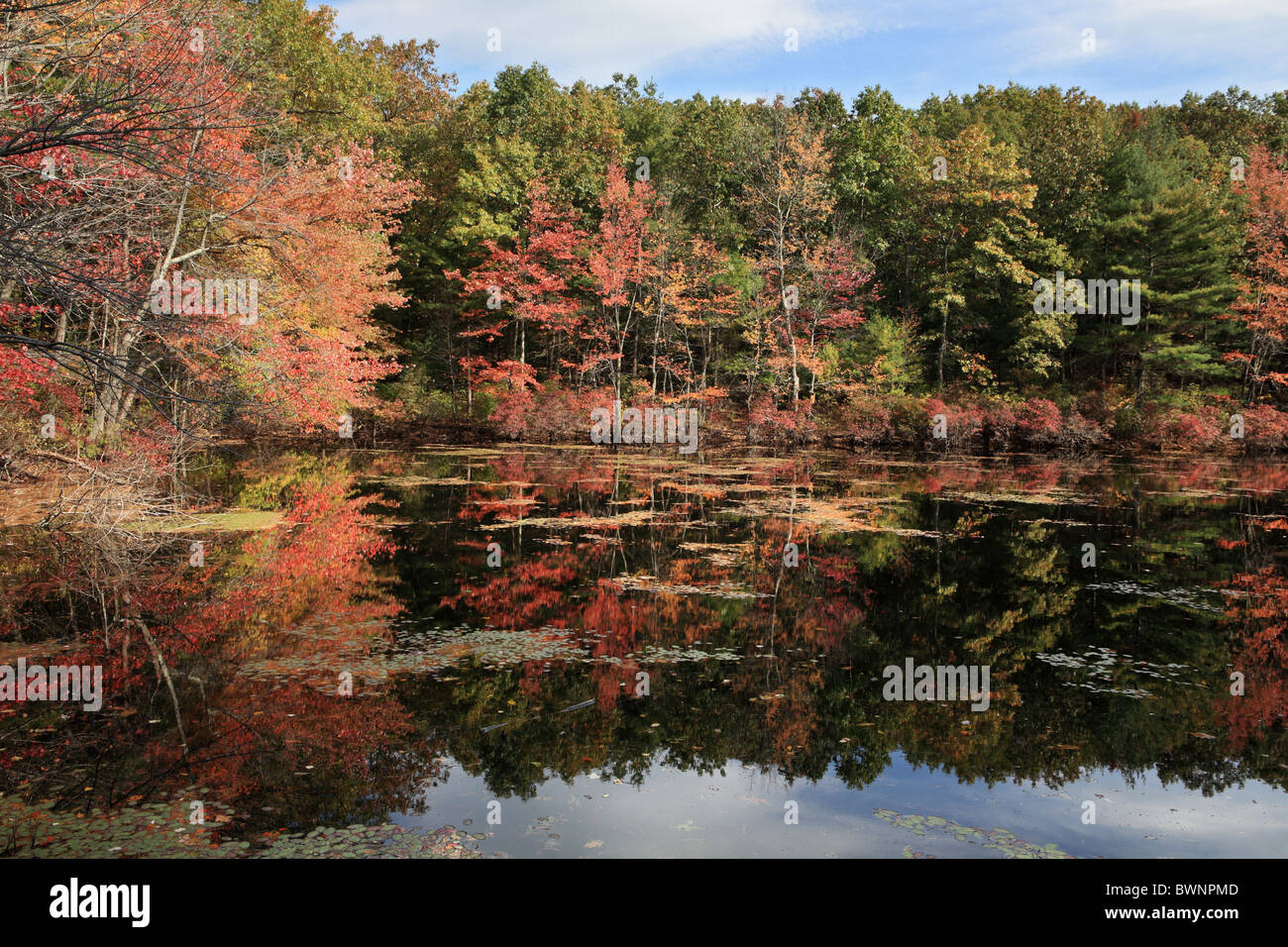 Couleurs d'automne et réflexions, Walden Pond, Concord, Massachusetts, USA Banque D'Images