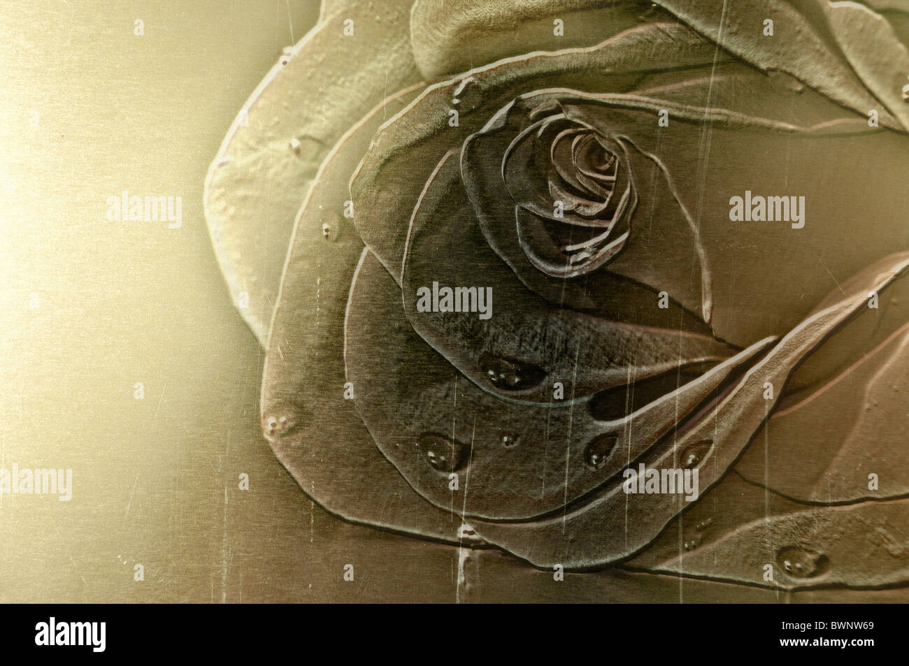 Rose pattern gravé sur métal laiton jaune brillant texture background libre Banque D'Images