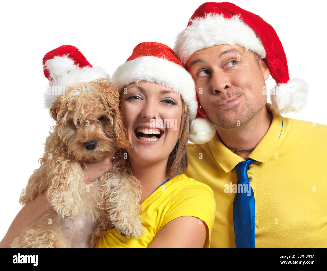 Licence disponible sur MaximImages.com - Portrait d'un jeune homme heureux et d'une femme avec un chien de Cockapoo dans ses mains portant des chapeaux de Noël rouges. Banque D'Images