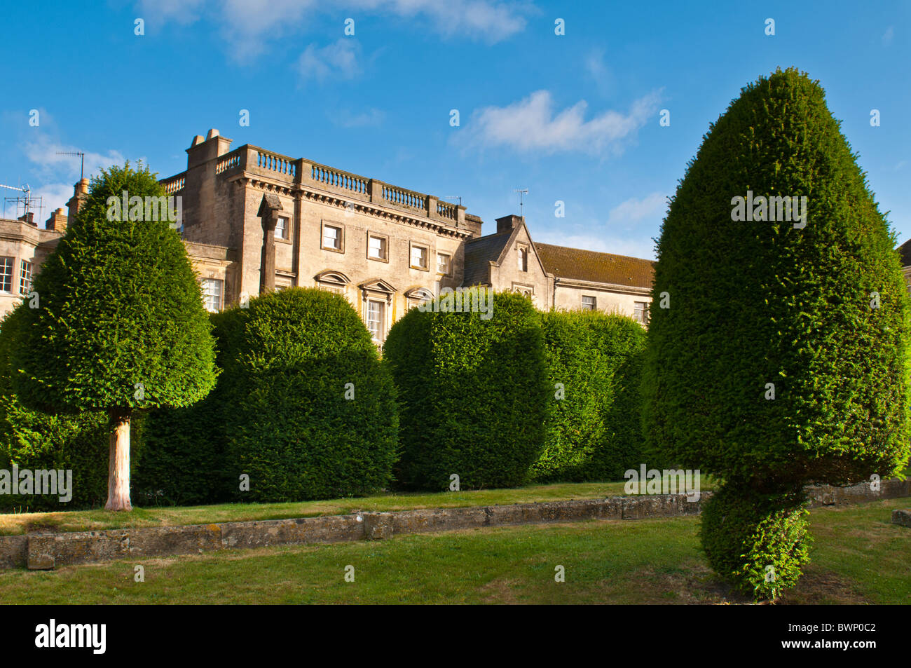 St Mary's Churchyard avec if et bâtiment en pierre de Cotswold en arrière-plan, Painswick, Gloucestershire, Royaume-Uni Banque D'Images