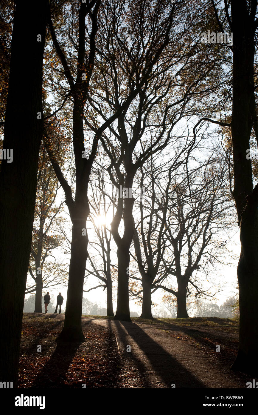 Hampstead Heath. Les gens marcher parmi les arbres d'automne. London, England, UK Banque D'Images