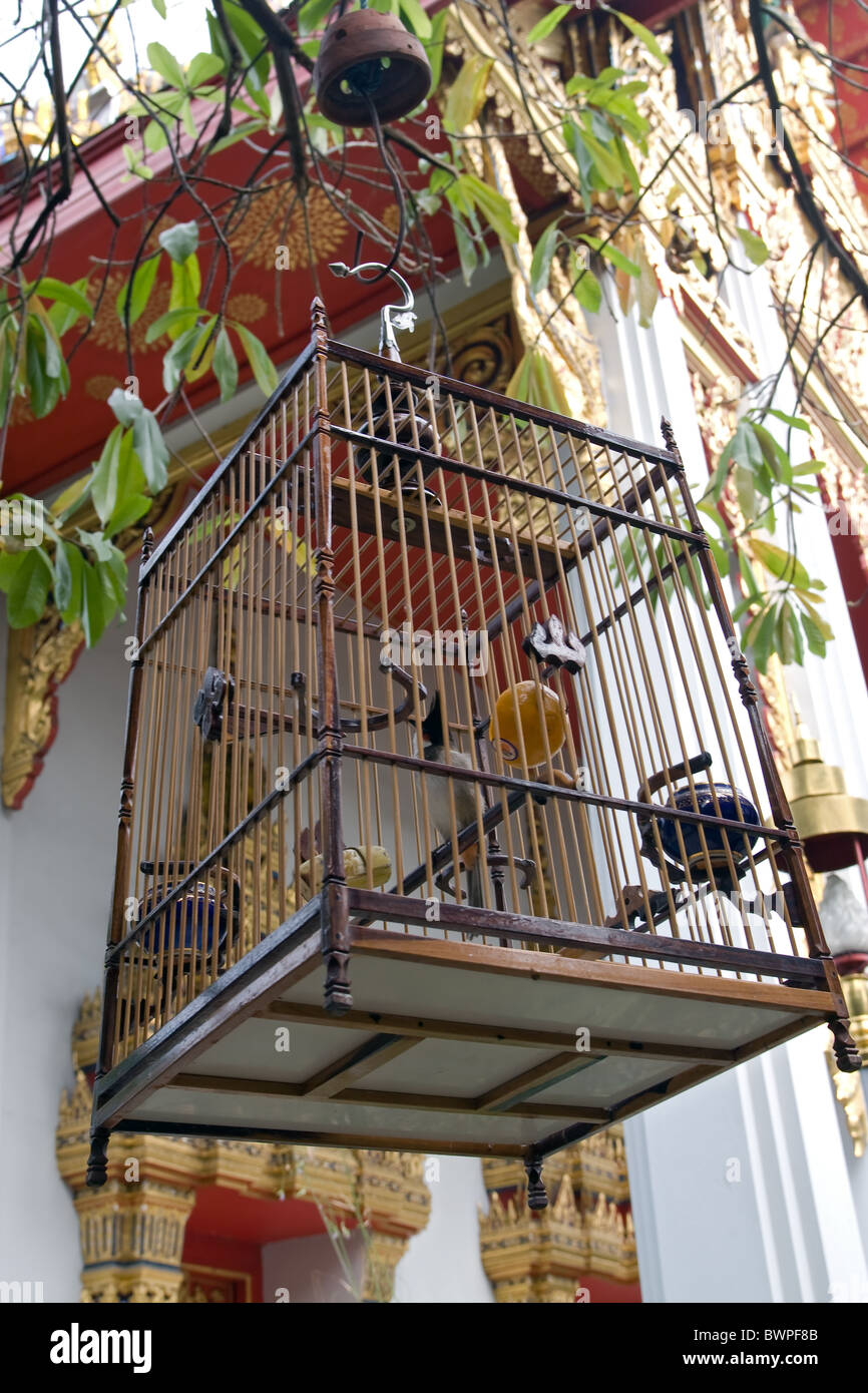 Oiseau de cage Banque de photographies et d'images à haute résolution -  Alamy