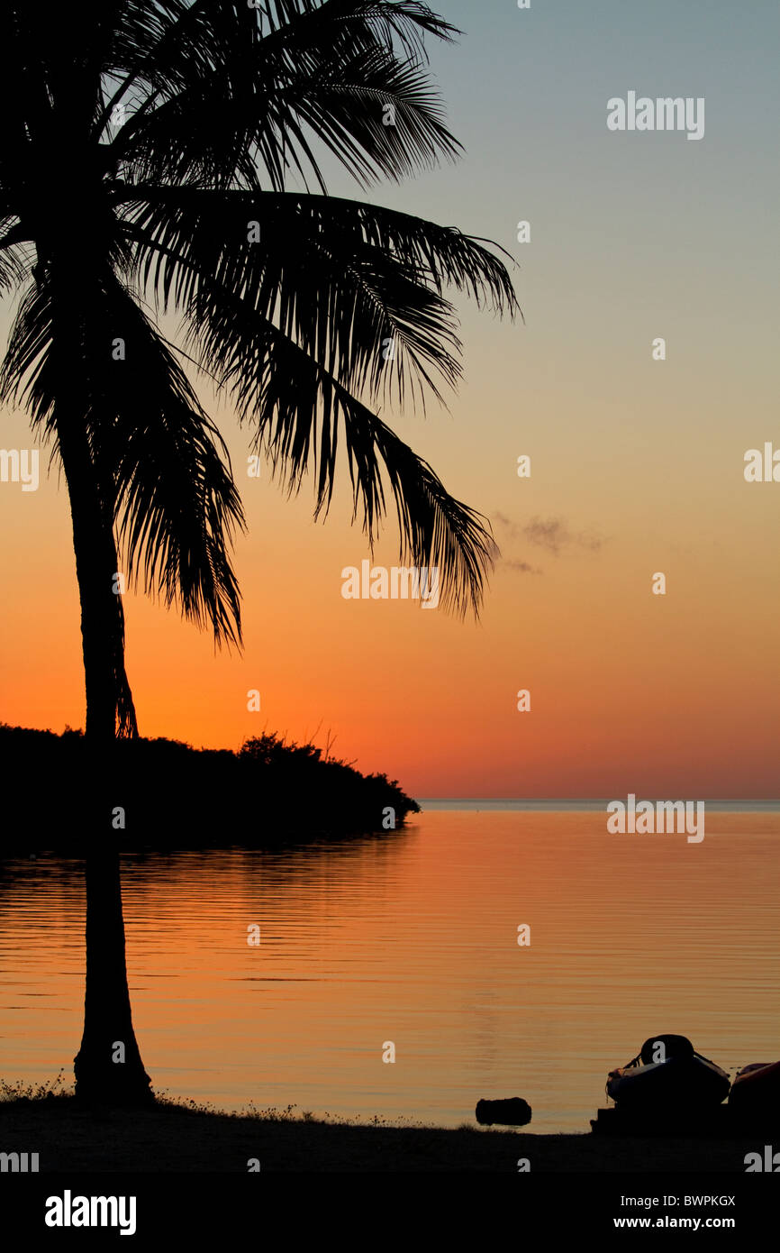 Coucher du soleil plage avec palmiers et ciel sur une plage de Floride, dans les Florida Keys. Banque D'Images