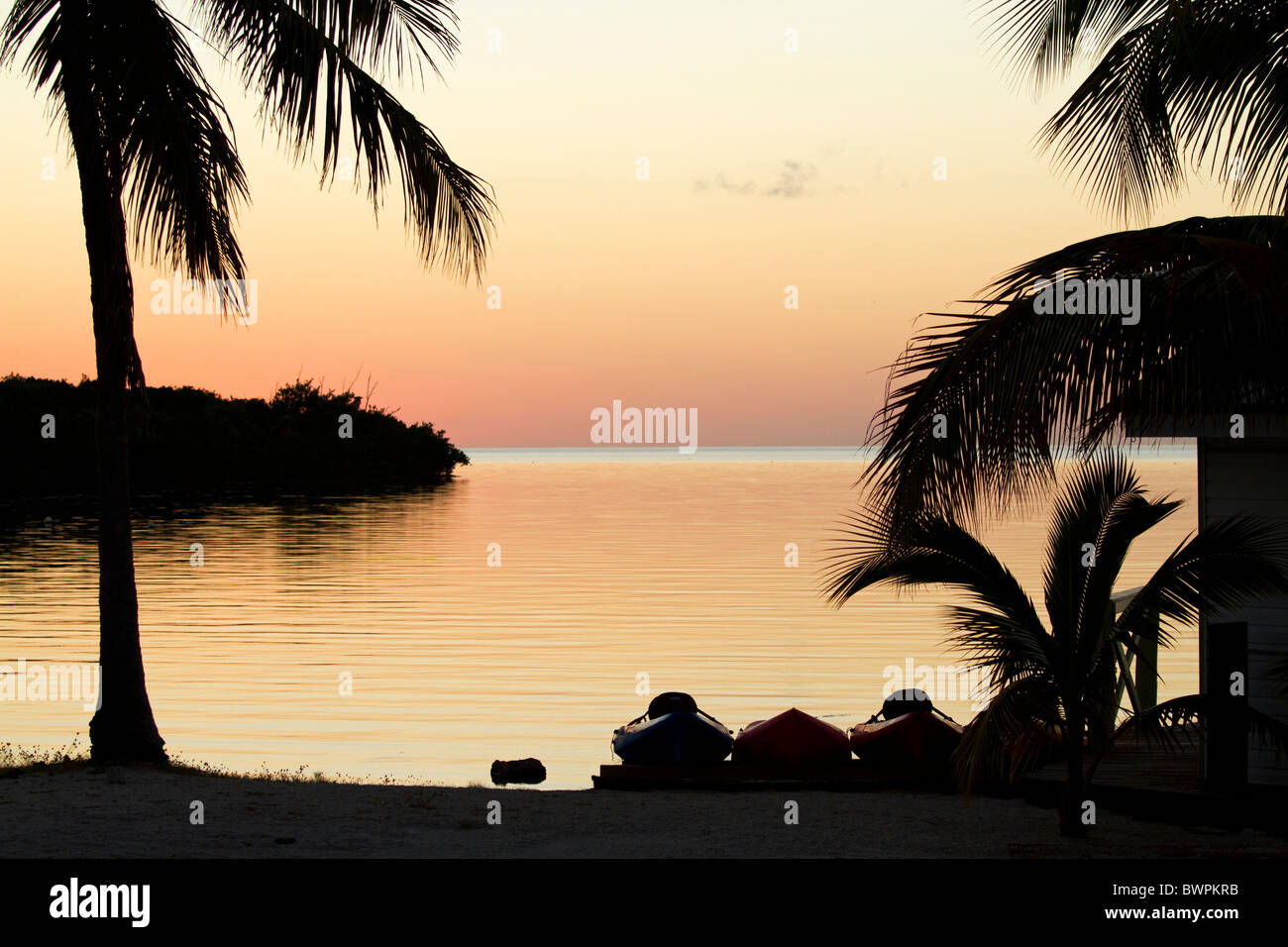Coucher du soleil plage avec palmiers et ciel sur une plage de Floride, dans les Florida Keys. Banque D'Images
