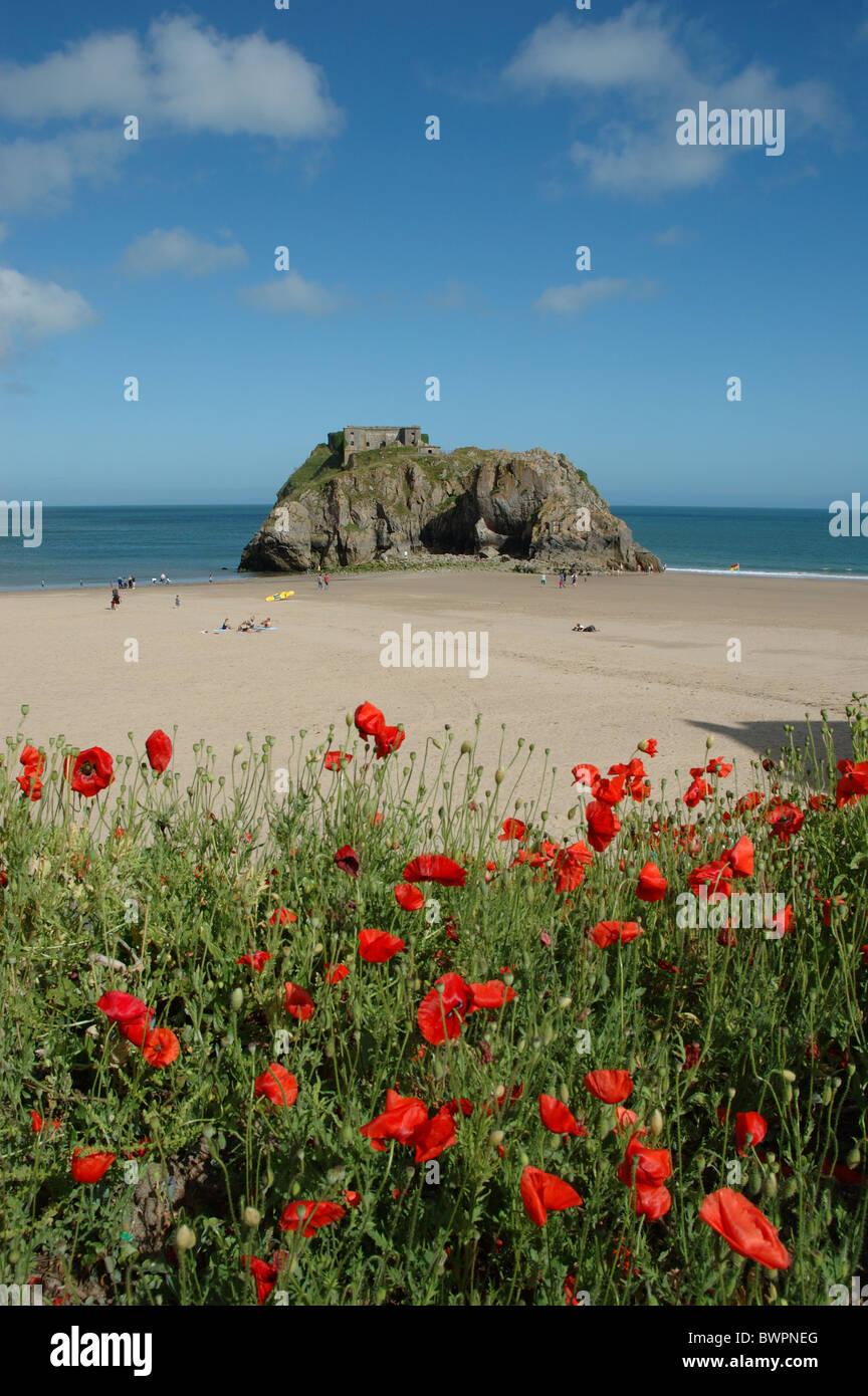 Coquelicots rouges et St Catherines island, Tenby, Pembrokeshire, Pays de Galles, Royaume-Uni Banque D'Images