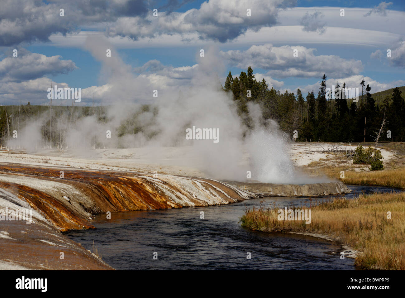 Fer à Repasser Hot spring Spring Creek dans le bassin de sable noir dans le Parc National de Yellowstone dans le Wyoming, United States Banque D'Images