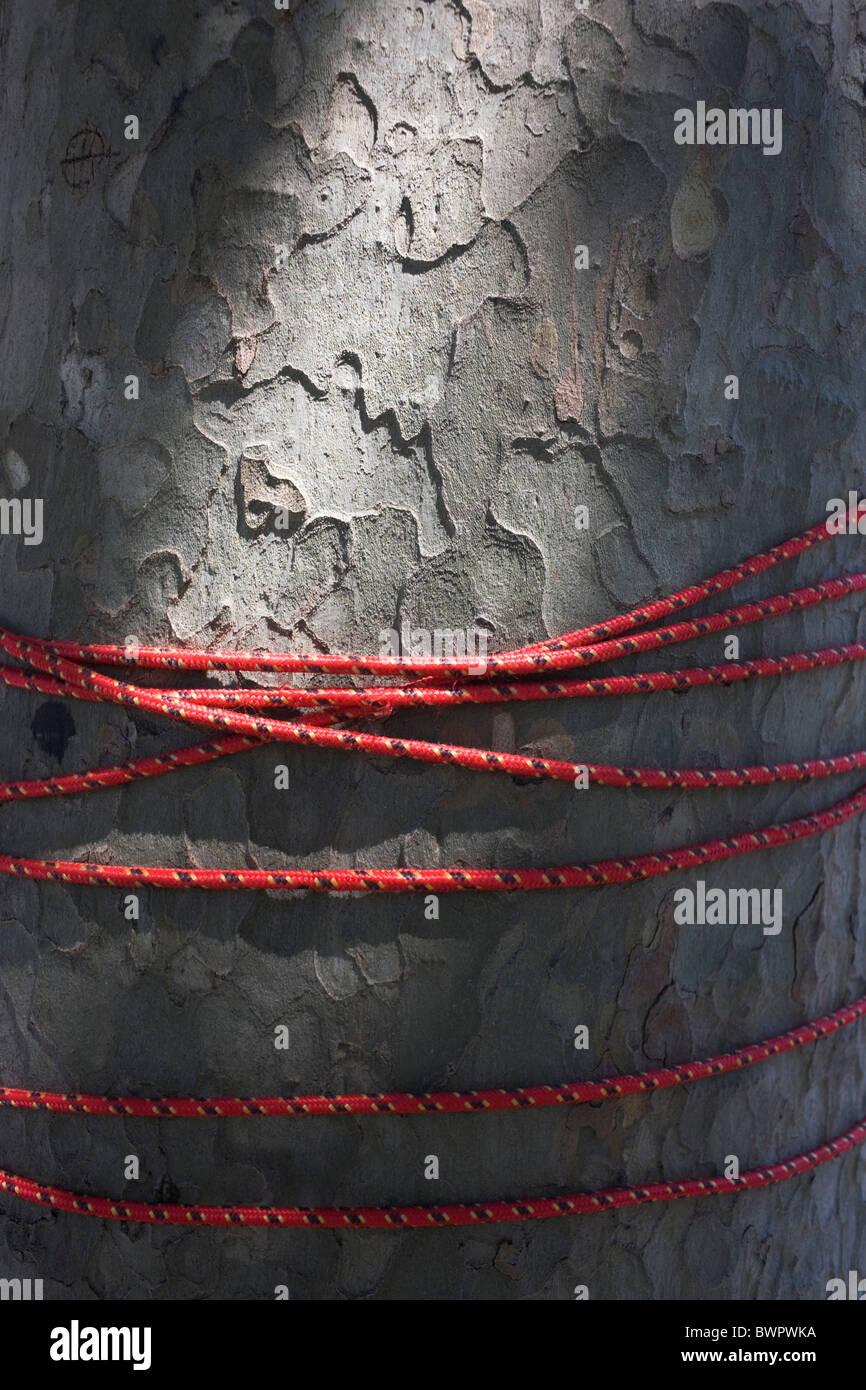 Cordon Rouge enroulé autour de Londres un tronc d'arbre. Banque D'Images