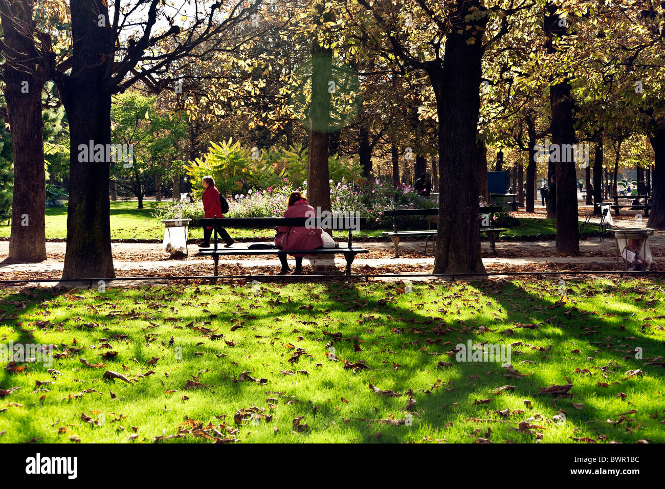 Les personnes bénéficiant de la lumière du soleil pommelé parisien sur feuillage de l'automne fleurs et l'herbe sur la journée ensoleillée d'automne dans les jardins du Luxembourg Paris Banque D'Images