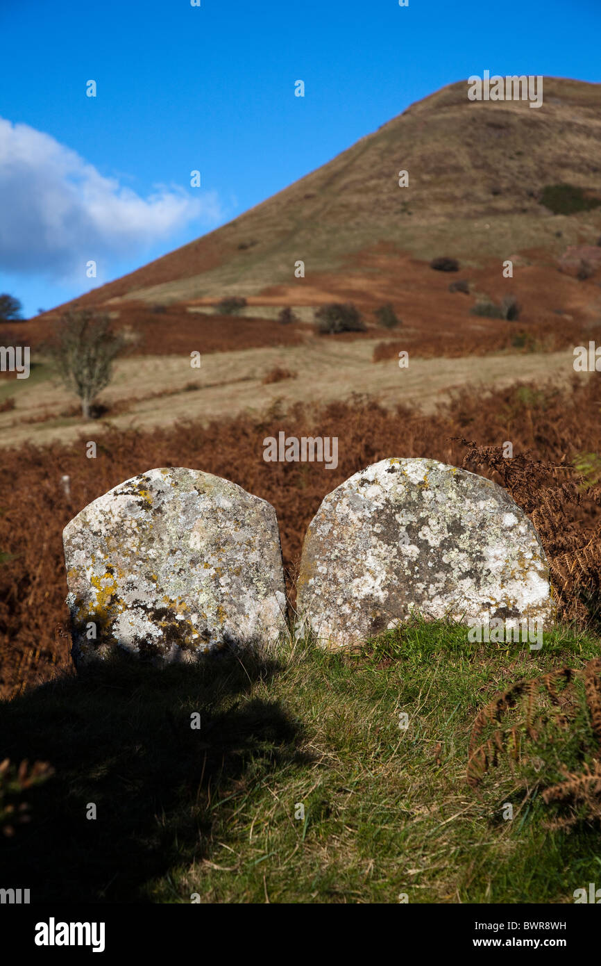 Ancienne borne de marqueurs sur la colline de Cocket Powys Pays de Galles UK Banque D'Images