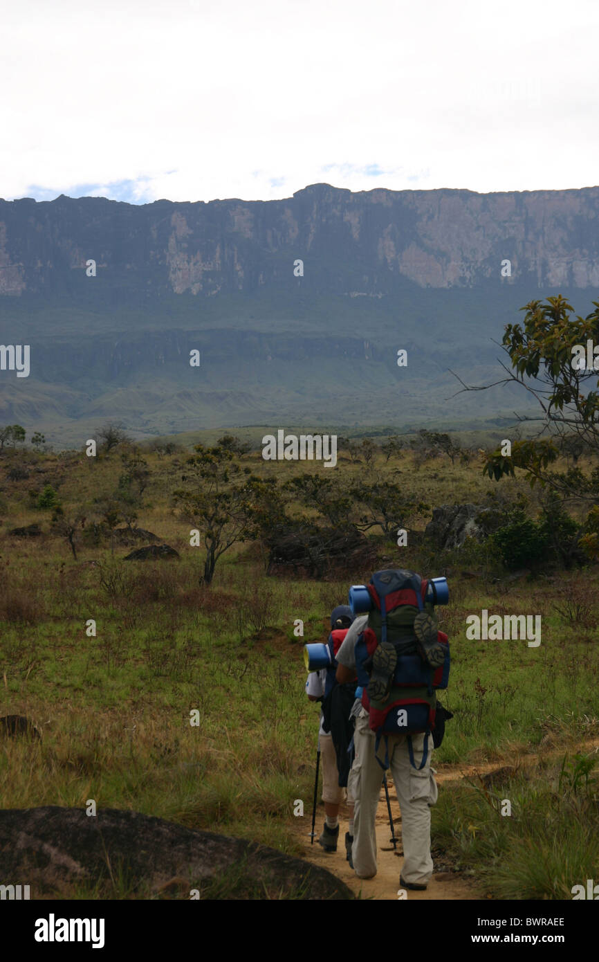 Les randonneurs à pied vers le Mont Roraima au Venezuela Banque D'Images