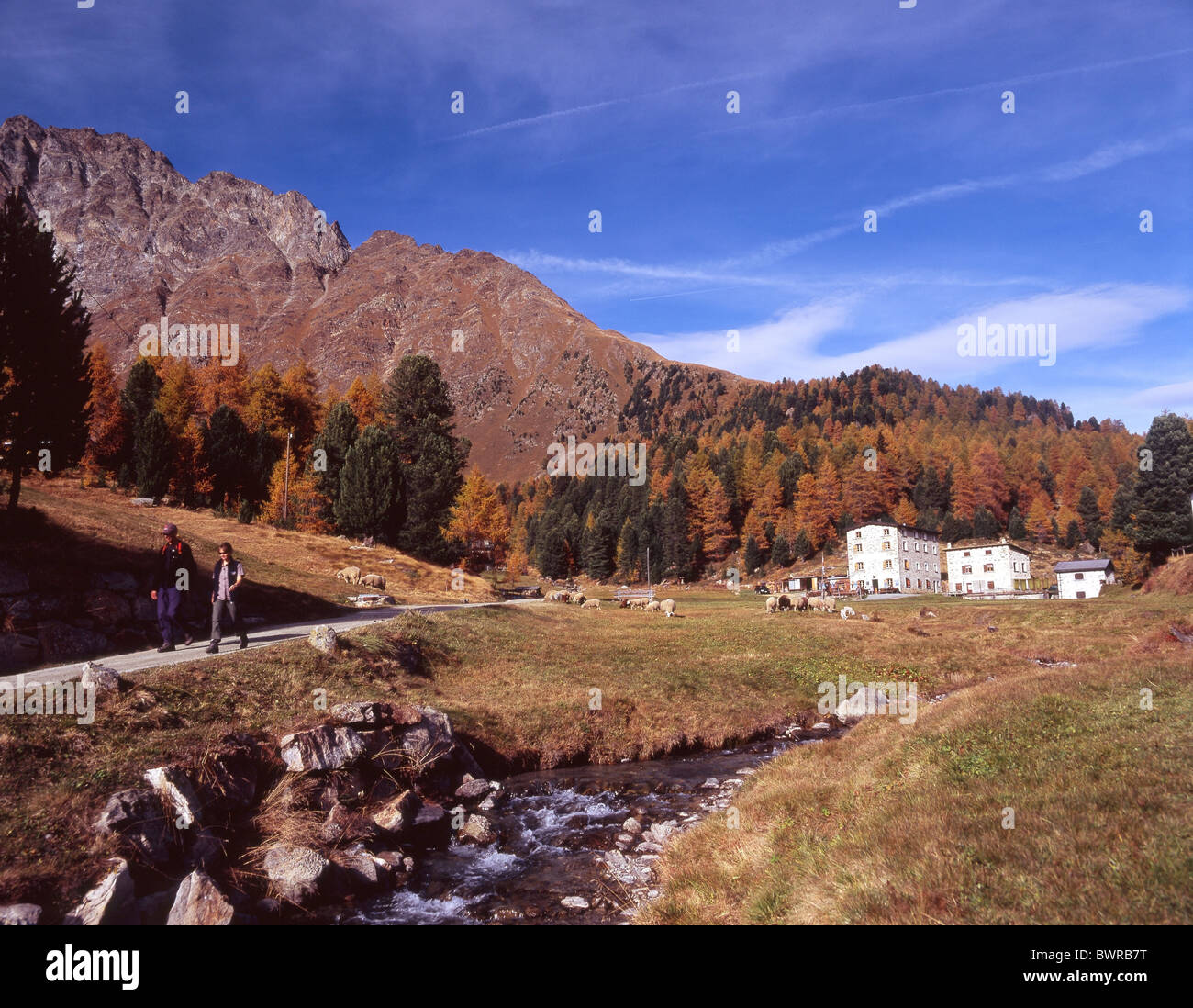 Suisse Europe Saoseo Alp Hauser Val di Campo Val da Camp Val Poschiavo canton Grisons Grisons Grisons Banque D'Images