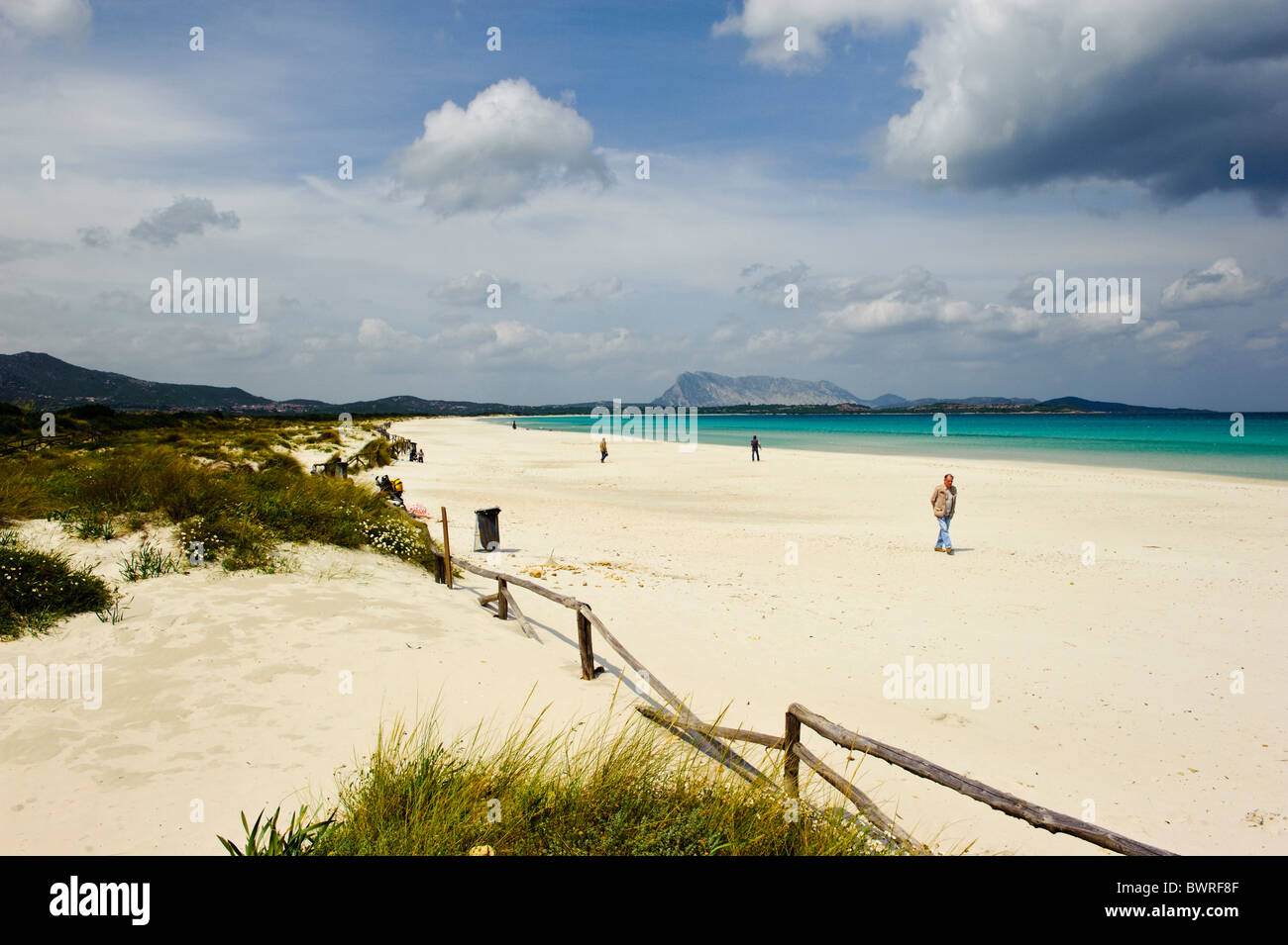Plage La Cinta Près De San Teodoro Sardaigne Italie Banque