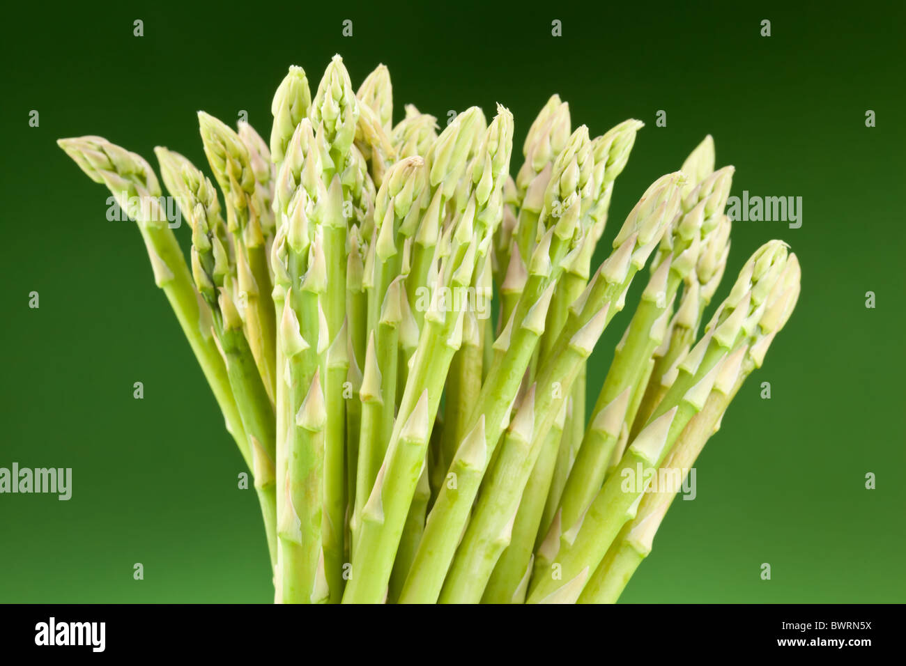 Gerbe d'asperges sur un fond vert. Banque D'Images