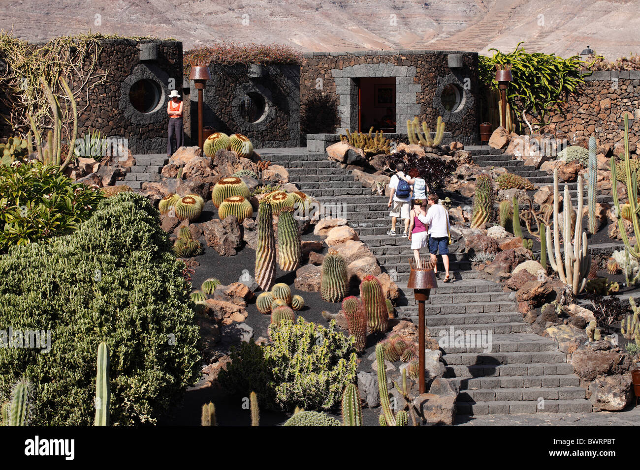 Jardin de cactus, Jardín de cactus, conçue par César Manrique, Guatiza, Lanzarote, Canary Islands, Spain, Europe Banque D'Images