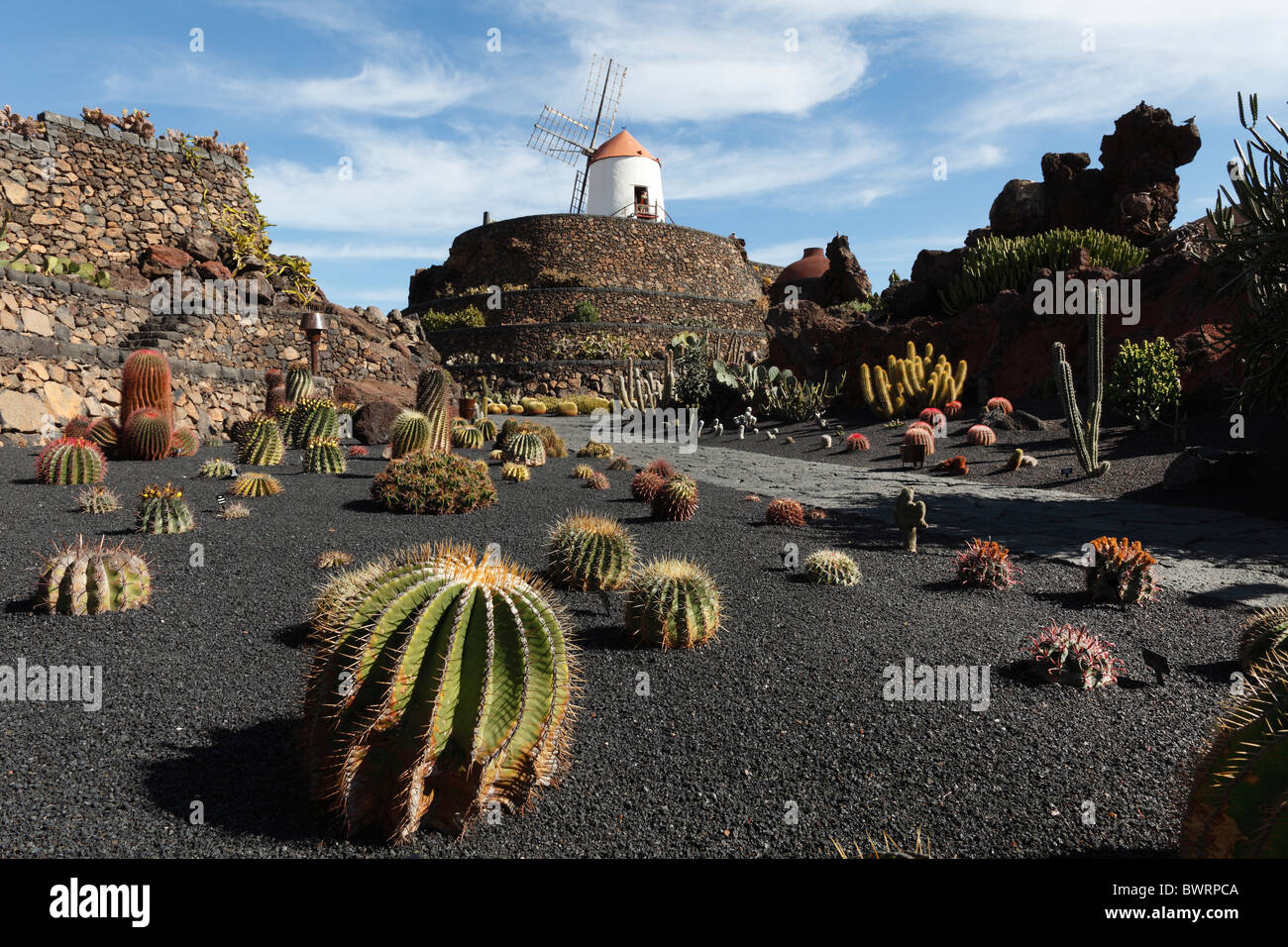 Jardin de cactus avec un moulin à vent, Jardín de cactus, conçue par César Manrique, Guatiza, Lanzarote, Canary Islands, Spain, Europe Banque D'Images