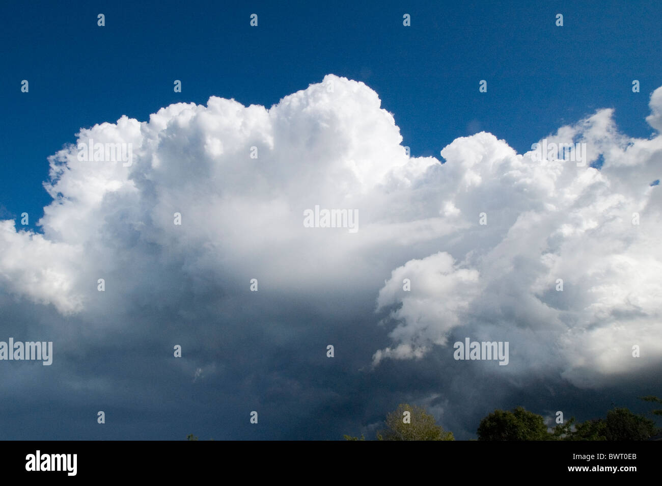La formation de nuages cumulus dans le ciel. Banque D'Images