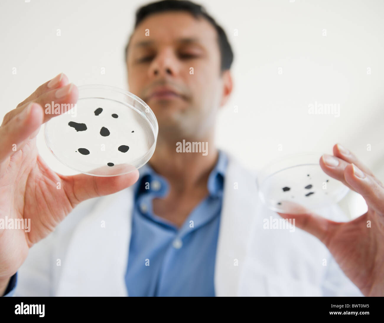 Mixed Race researcher holding specimen in petri dish Banque D'Images