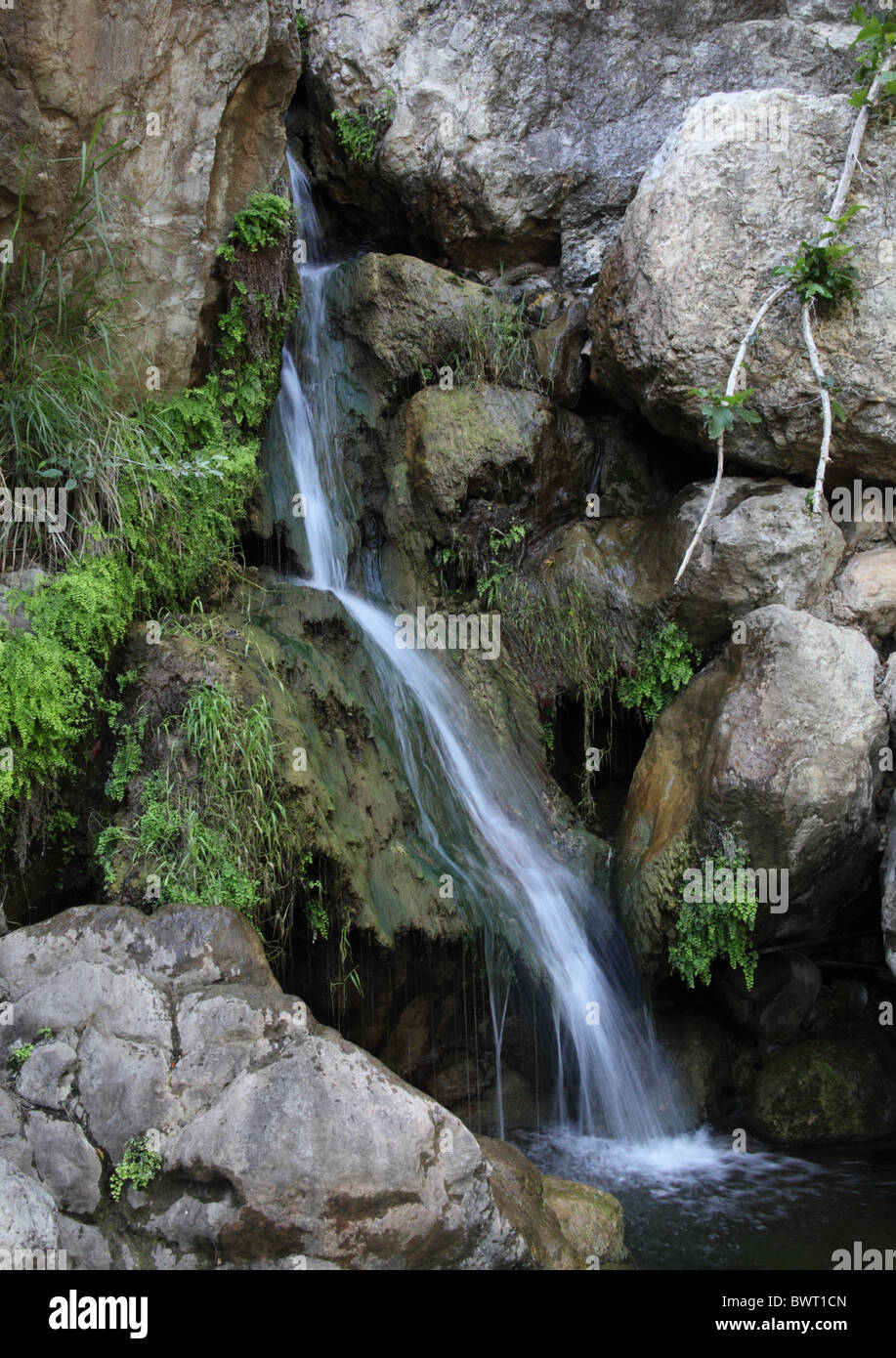 Petite cascade à Solstice Canyon dans le sud de la Californie Banque D'Images