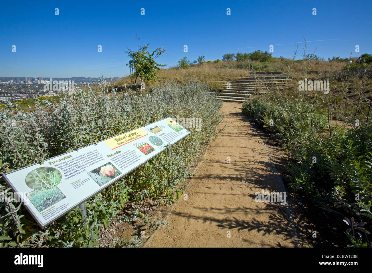 Native Plant sign in Baldwin Hills un panorama de State Park, Culver City, Los Angeles, Californie, USA Banque D'Images