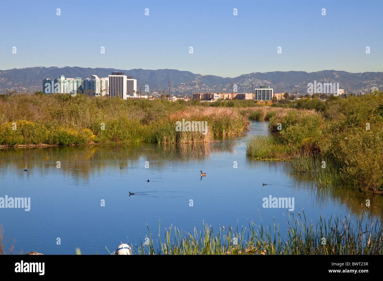 La Ballona Wetlands est une zone protégée à proximité de Marina Del Rey et Playa Del Rey. Los Angeles, Californie, USA Banque D'Images