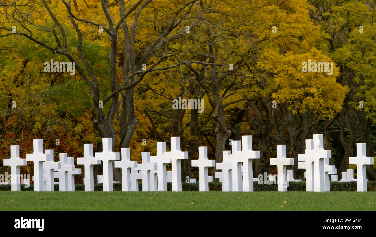 Stand de souvenirs de blanc sous les arbres comme ils l'or à l'automne à Madingley Cimetière Américain Banque D'Images