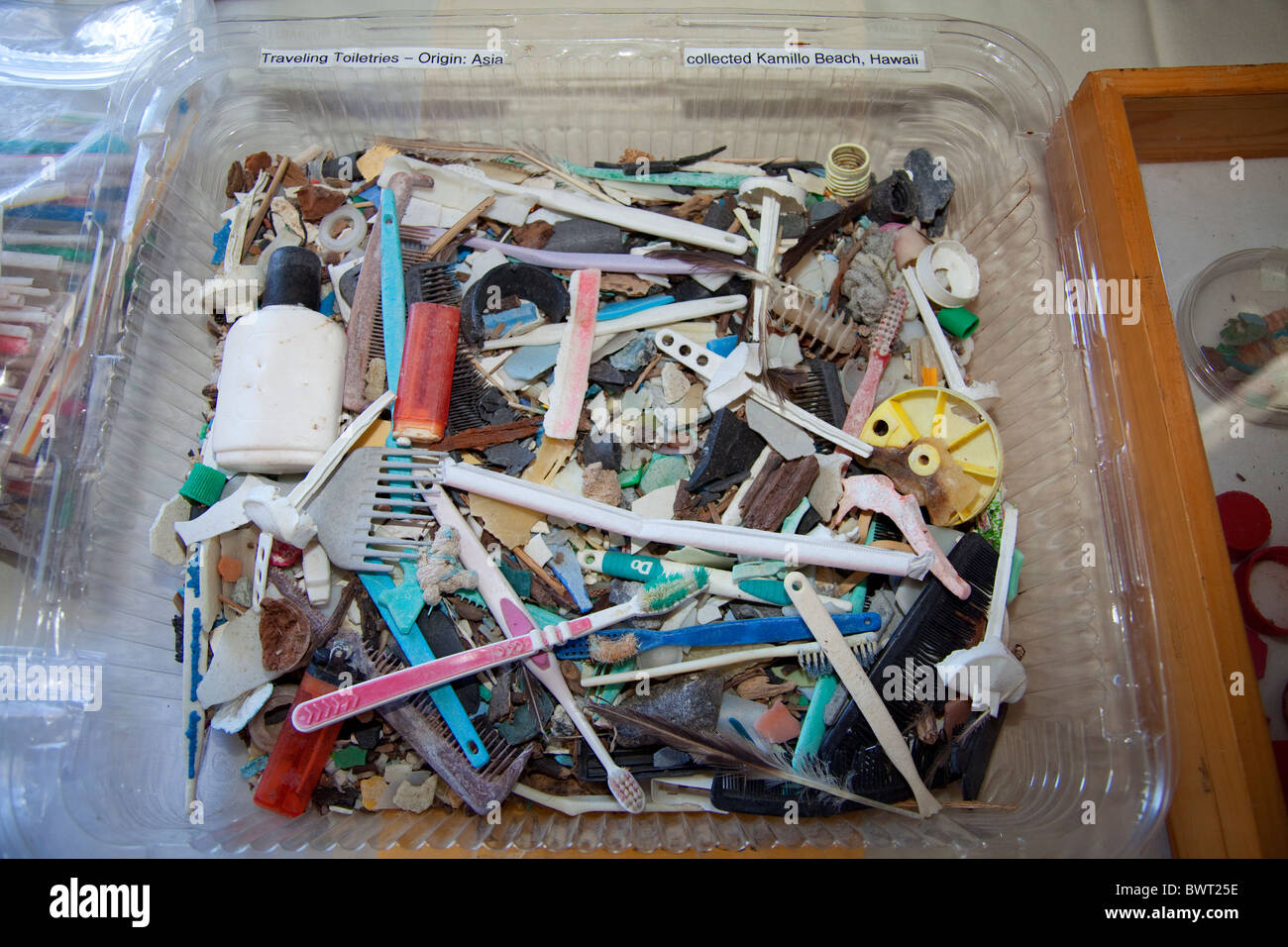 Les échantillons prélevés en plastique de l'océan. Algalita Marine Research Foundation. Long Beach, Californie, USA Banque D'Images