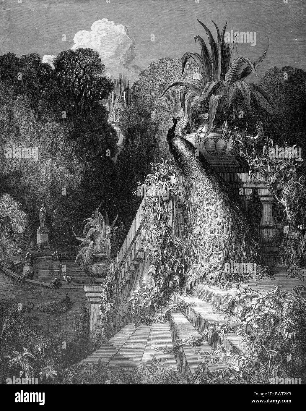 Gustave Doré ; le paon se plaignant à Junon dans les fables de Jean de la fontaine ; la gravure Gustave Doré ; le paon se plaignant à Junon dans les fables de Jean de la fontaine ; la gravure