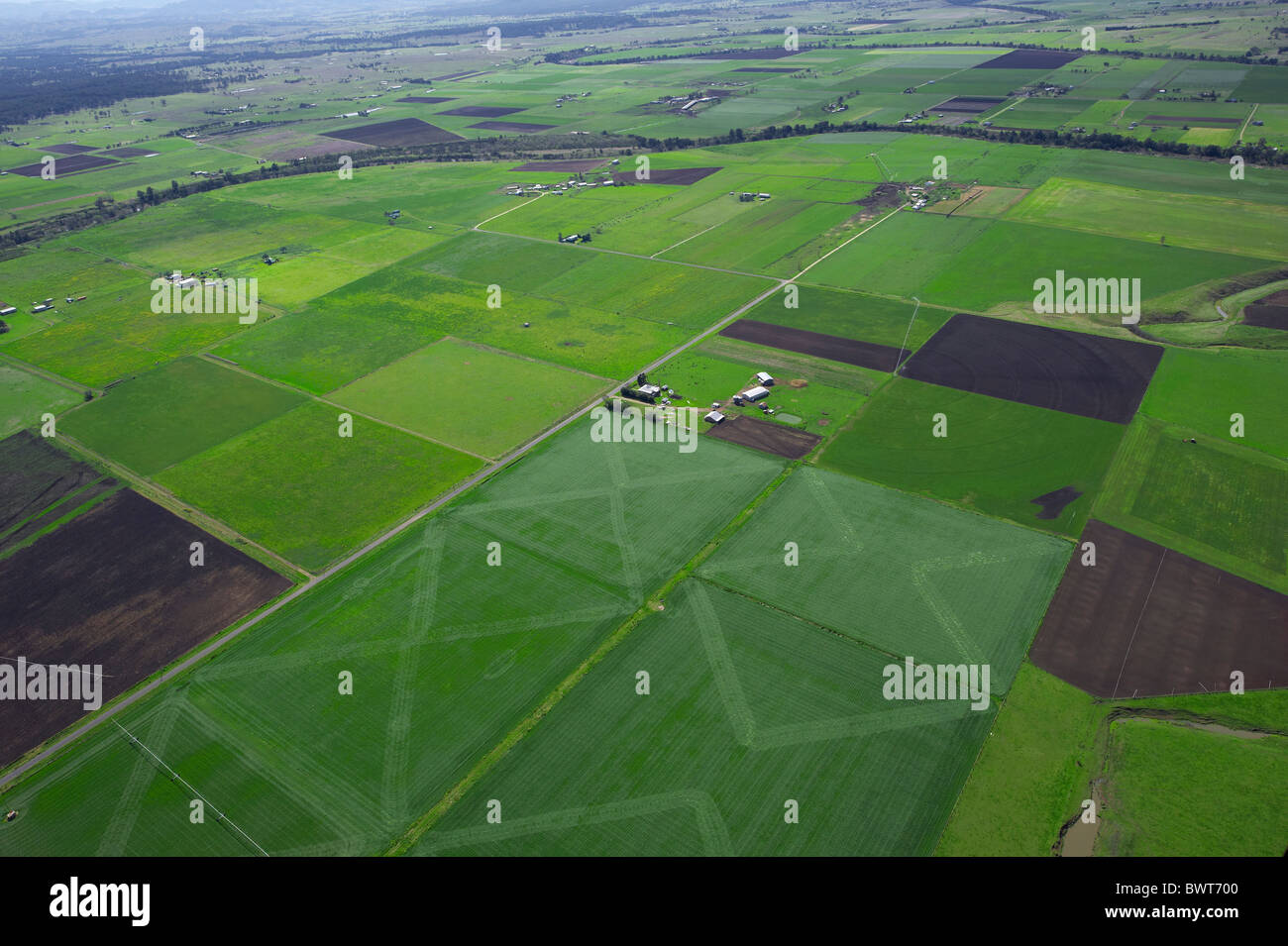 Vue aérienne de cropping Hunter Valley Australie NSW Banque D'Images