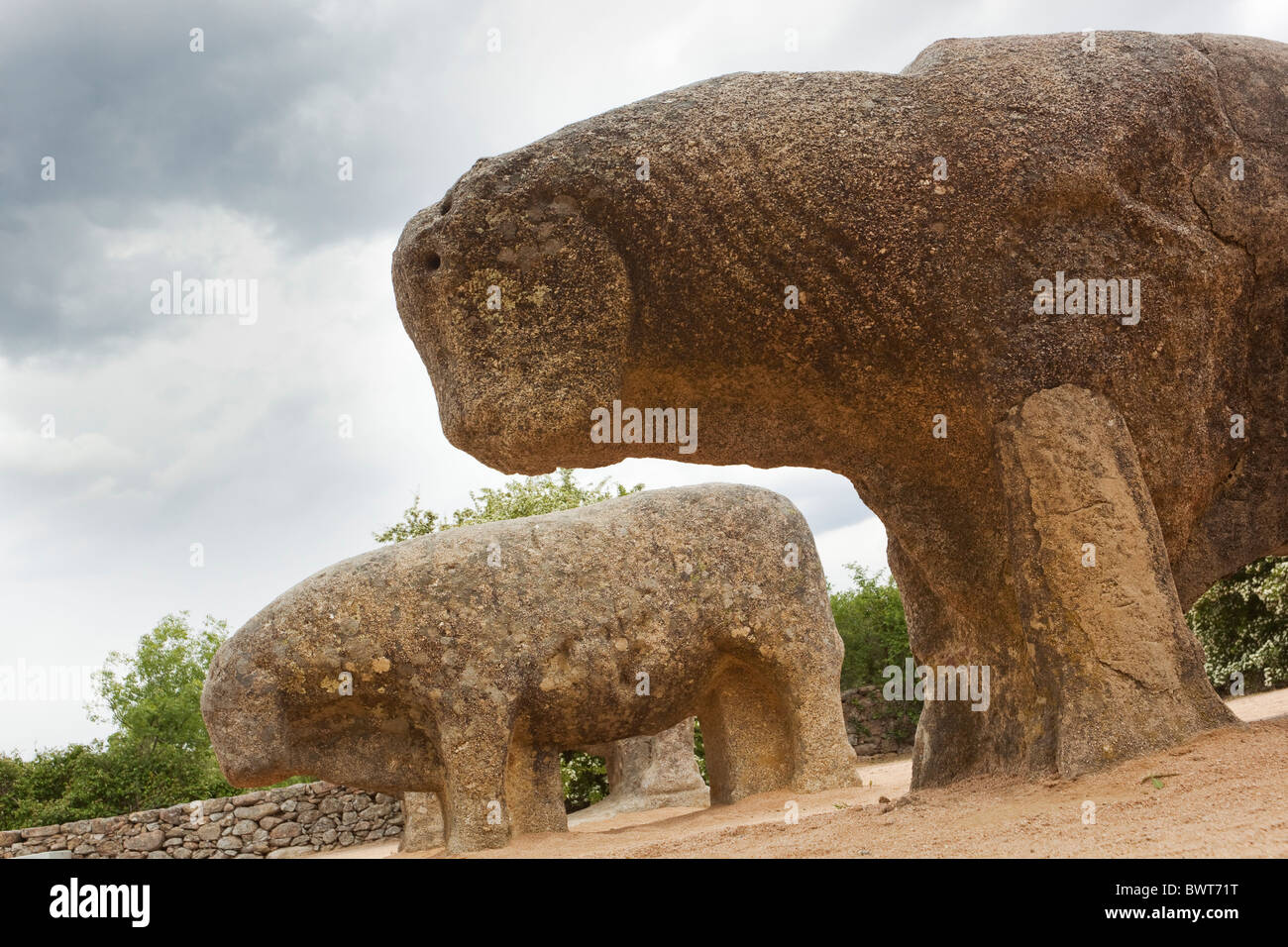 Le Celti-Iberian les taureaux de Guisando en granit, près de El Tiemblo, Province d'Avila, Espagne Banque D'Images
