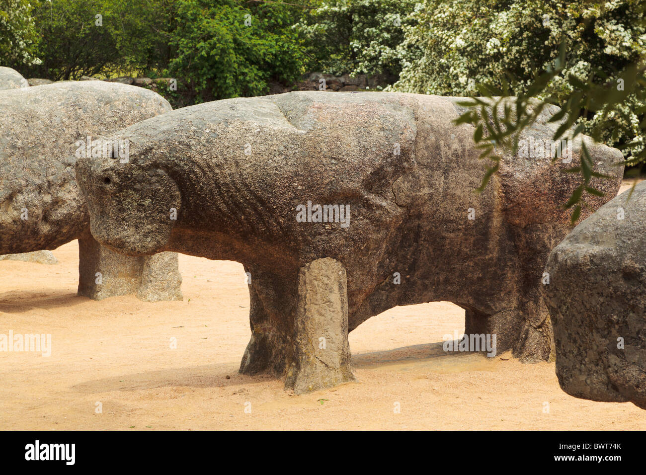 Le Celti-Iberian les taureaux de Guisando en granit, près de El Tiemblo, Province d'Avila, Espagne Banque D'Images