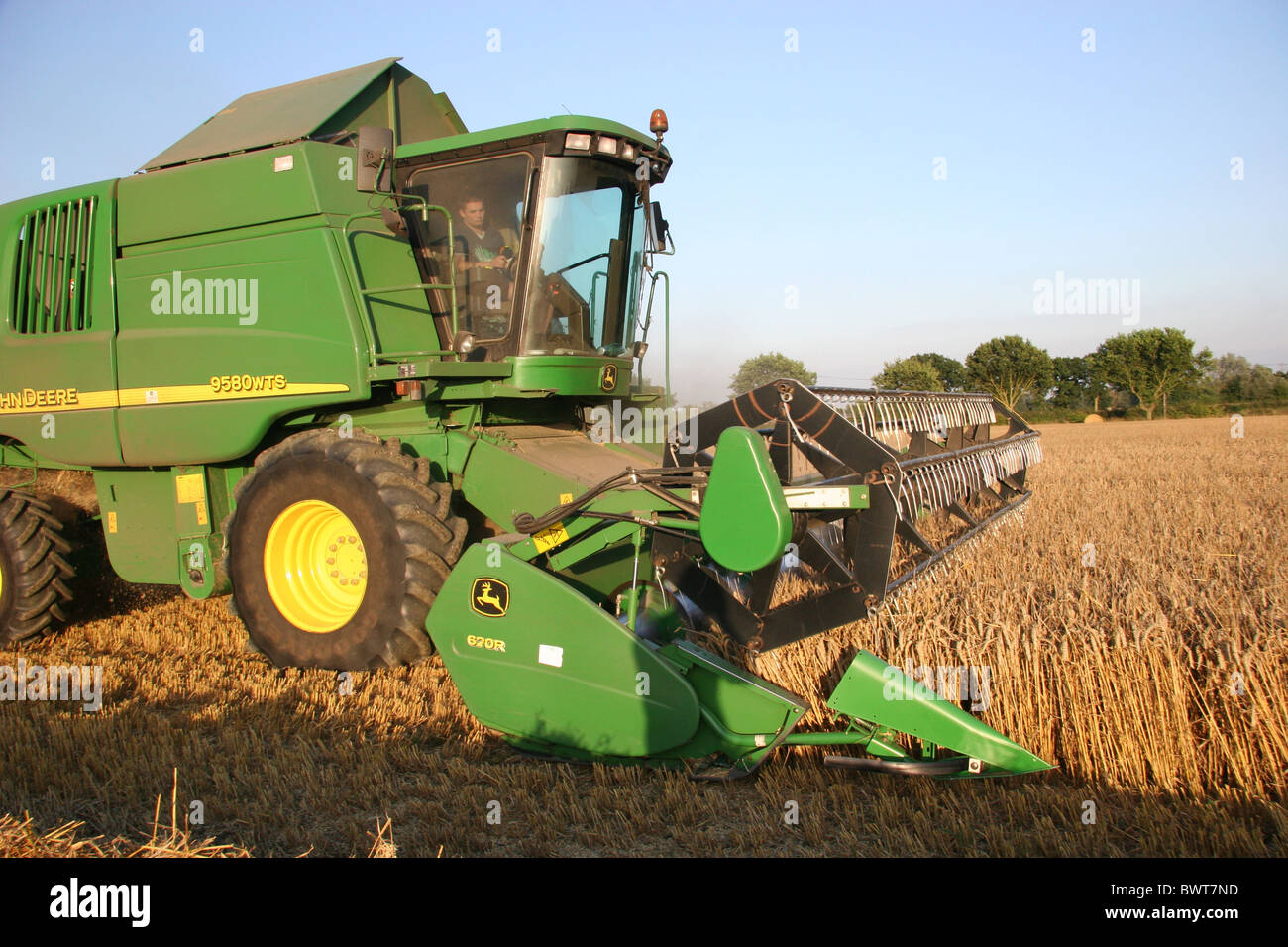 Moissonneuse-batteuse John Deer coupant la récolte dans un champ Dans l'Essex Banque D'Images