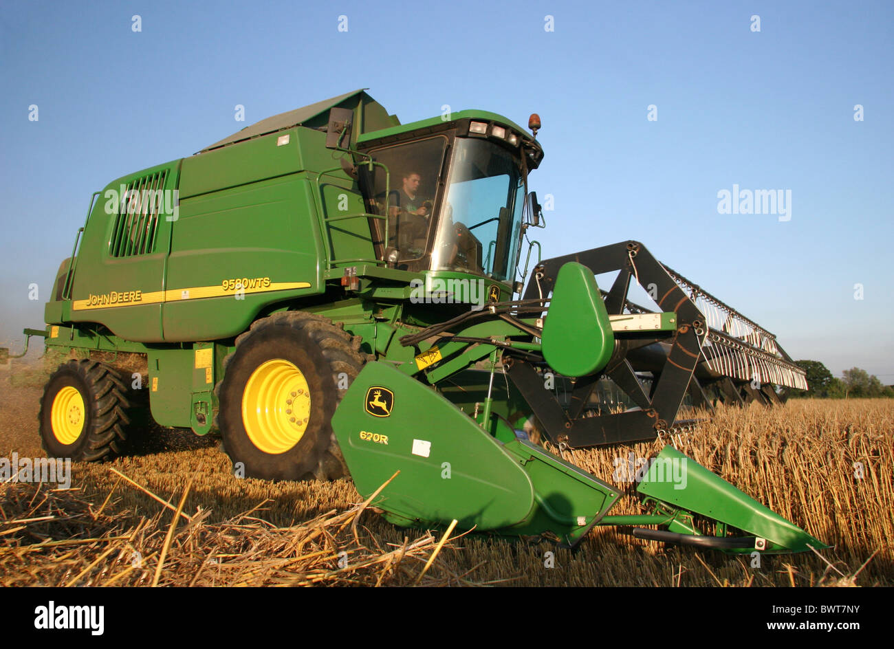 Moissonneuse-batteuse John Deer coupant la récolte dans un champ Dans l'Essex Banque D'Images