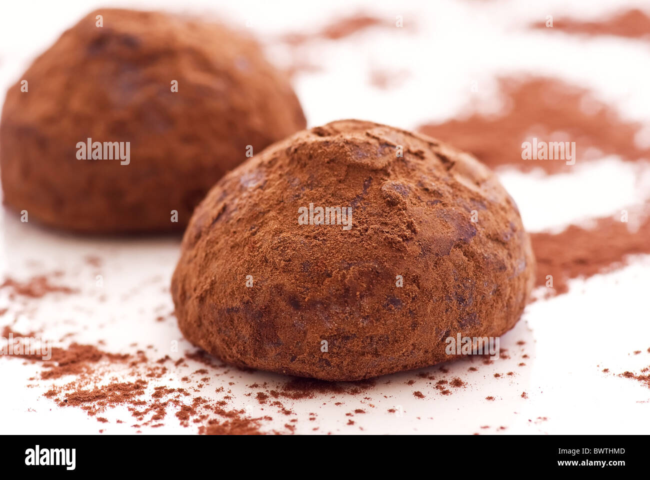 Truffe au chocolat sucré avec du cacao en poudre comme gros plan sur fond blanc Banque D'Images