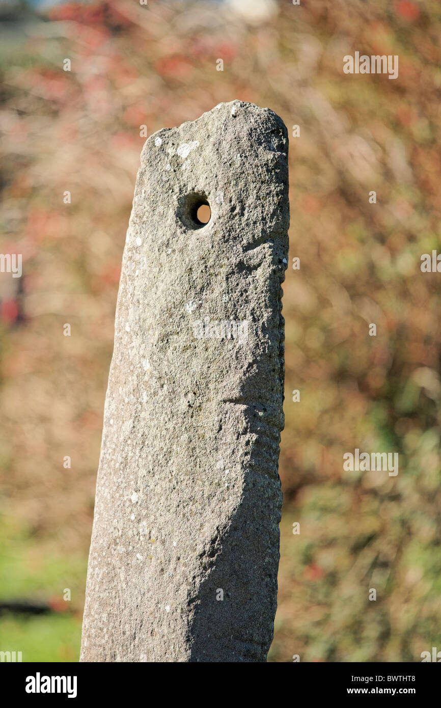 La pierre Ogham Kilmalkedar, péninsule de Dingle, comté de Kerry, Munster, Irlande. Banque D'Images