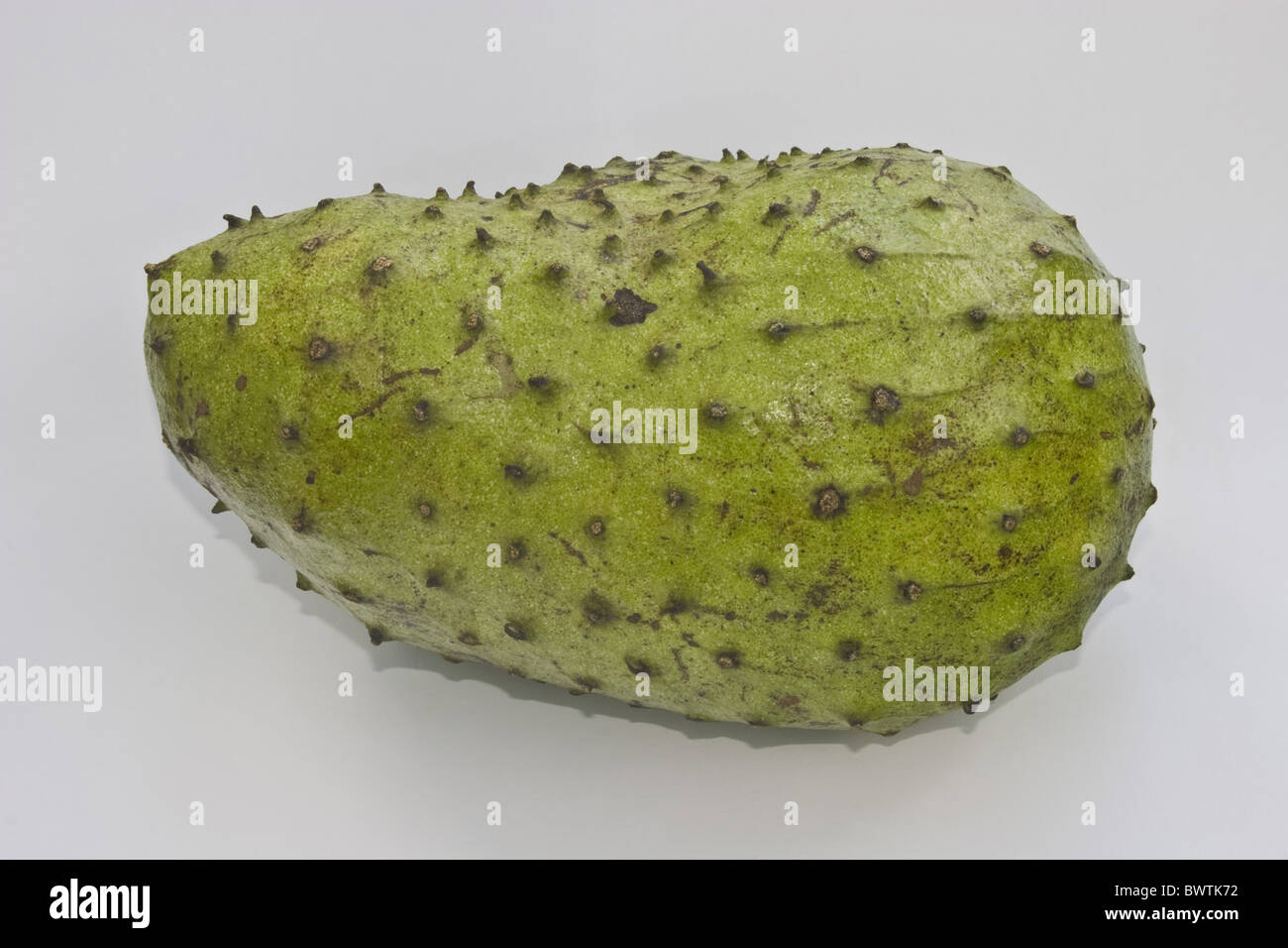 L'Annona Annona muricata asiatique asie Fermer jusqu'Guyabano Fruits Fruits Muricata Corossol Soursops Palawan Philippines Novembre Banque D'Images