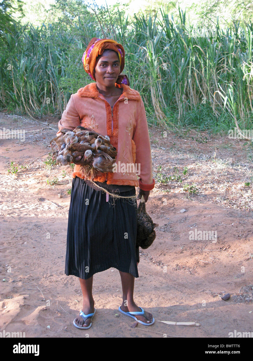 Femme Malgache holding poulets, Madagascar Banque D'Images