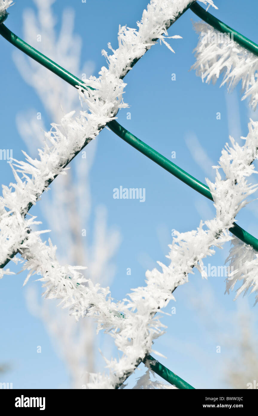 Givre sur une clôture, Alberta, Canada Banque D'Images