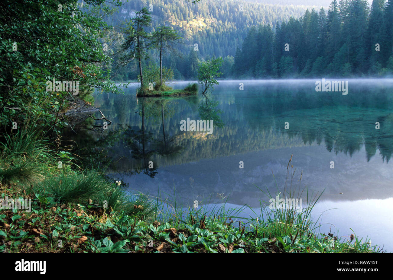 Suisse Europe canton Grisons Lac Cresta Grisons Grisons Surselva Crestasee réflexions lac island Banque D'Images