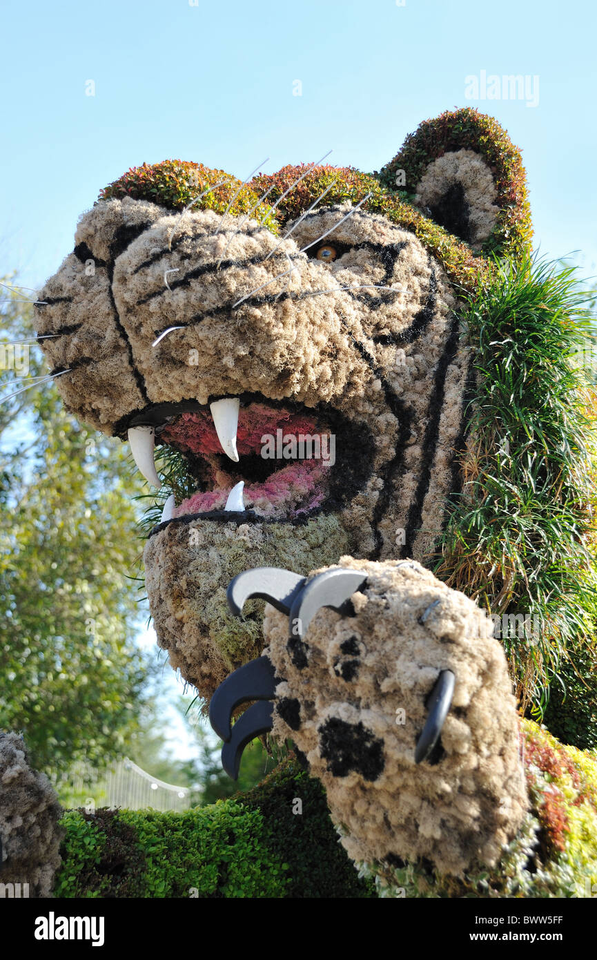 Lion topiaire Busch Gardens Florida Banque D'Images